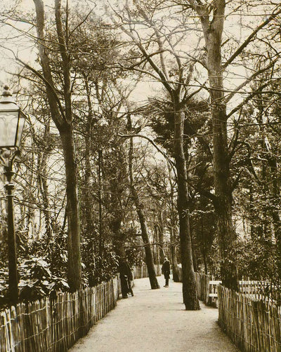 The New Fisherman's Walk
