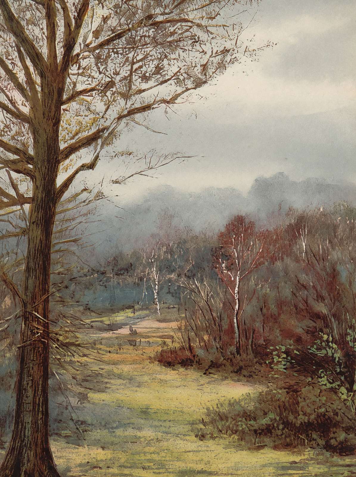 Brockenhurst in Early Spring New Forest in 1906 Vintage Print (7 Sizes)