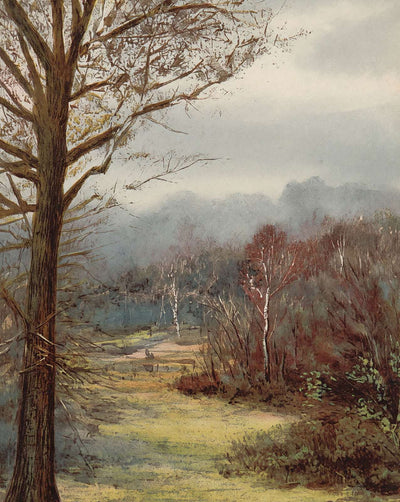 Brockenhurst in Early Spring vintage print