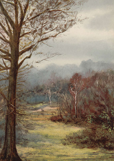 Brockenhurst in Early Spring New Forest in 1906 Vintage Print (7 Sizes)