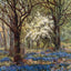 Bluebells in May New Forest in 1906 Vintage Print (7 Sizes) - Reproduction