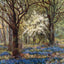 Bluebells in May New Forest in 1906 Vintage Print (7 Sizes) - Reproduction