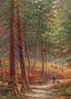 Early Autumn in the Pine Woods New Forest in 1929 Vintage Print (7 Sizes)