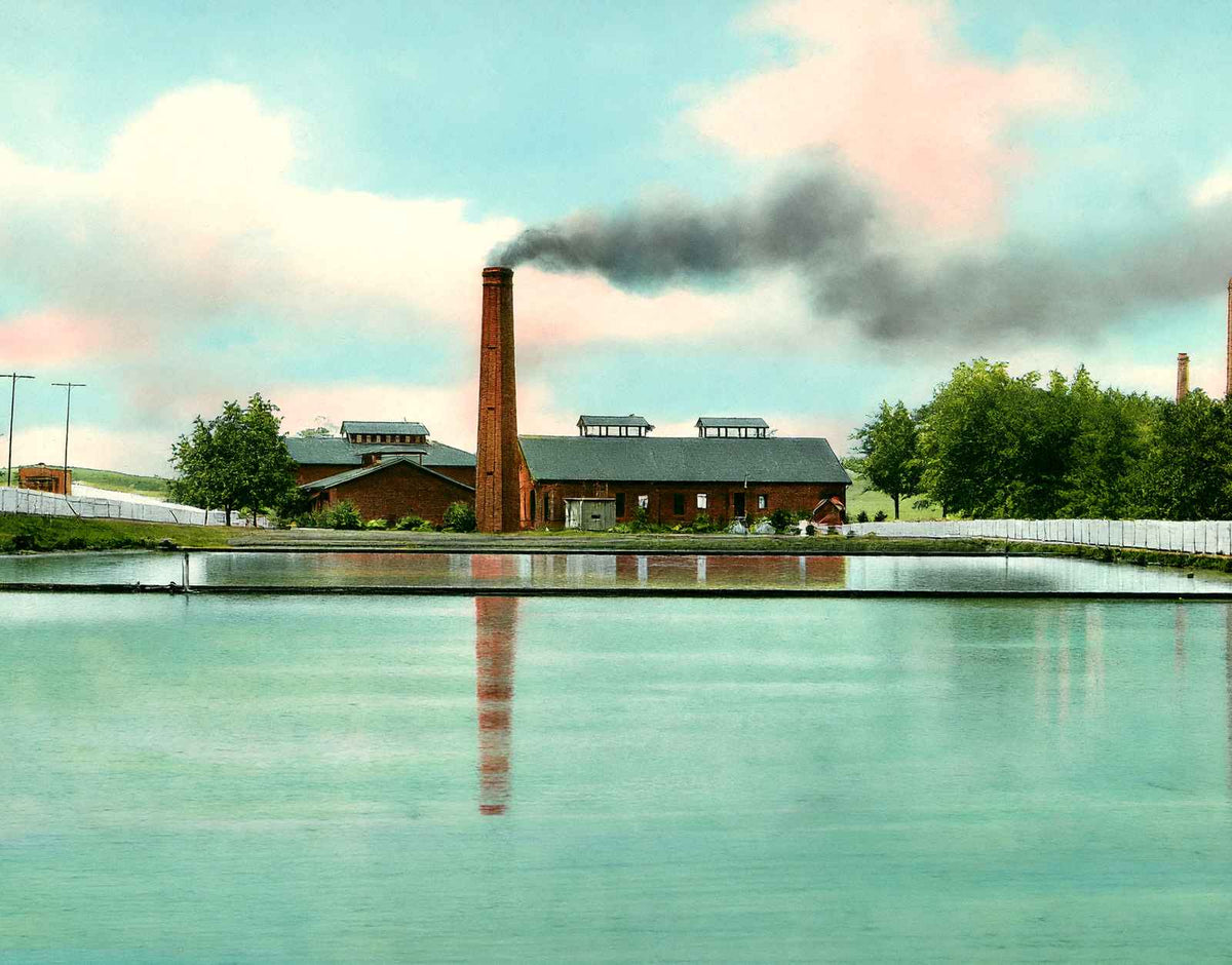North Birmingham Water Works Alabama in 1906 Vintage Print (7 Sizes)