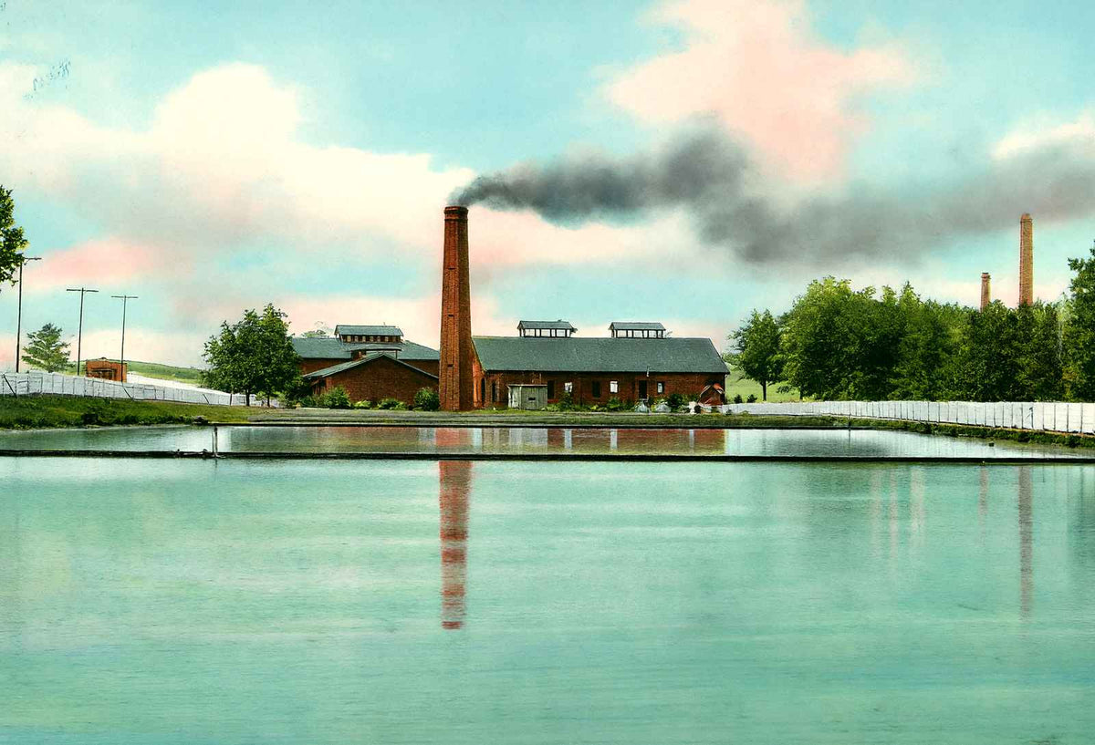 North Birmingham Water Works Alabama in 1906 Vintage Print (7 Sizes)