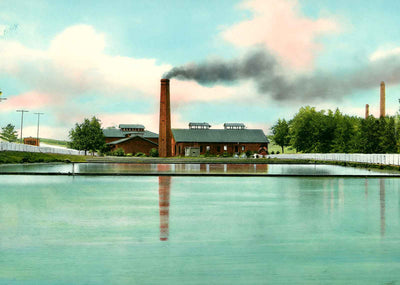 North Birmingham Water Works Alabama in 1906 Vintage Print (7 Sizes)