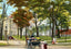 Northwestern University Evanston Illinois in 1905 Vintage Print (7 Sizes)