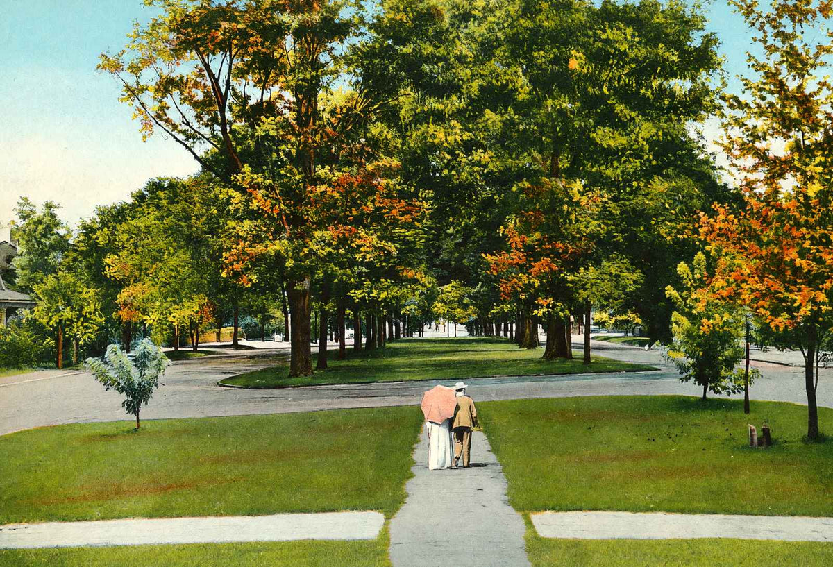 North Boulevard Baton Rouge in 1906 Vintage Print (7 Sizes) - Premium Print
