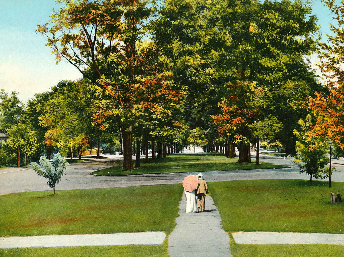 North Boulevard Baton Rouge in 1906 Vintage Print (7 Sizes) - Premium Print