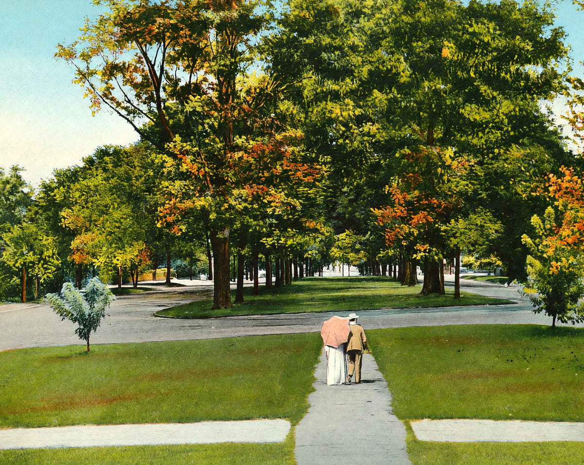 North Boulevard