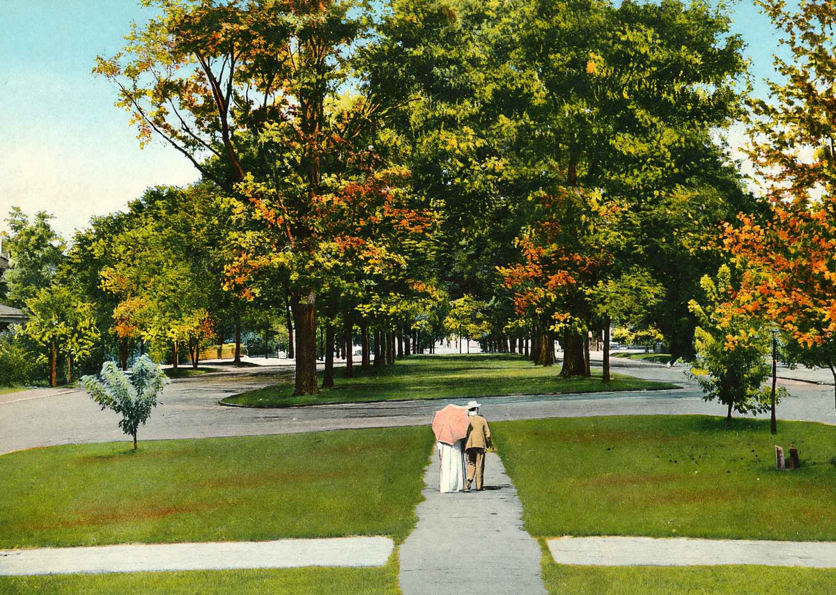 North Boulevard Baton Rouge in 1906 Vintage Print (7 Sizes) - Premium Print