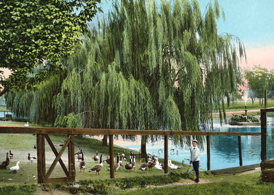 Picturesque Nook in Lafayette Park Norfolk in 1905 Vintage Print (7 Sizes)