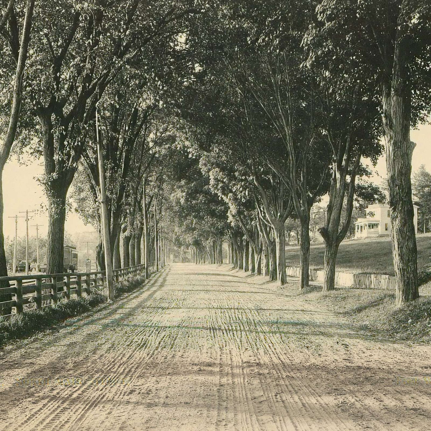 North Main Street Plymouth NH in 1905 Vintage Print (7 Sizes) - High Quality