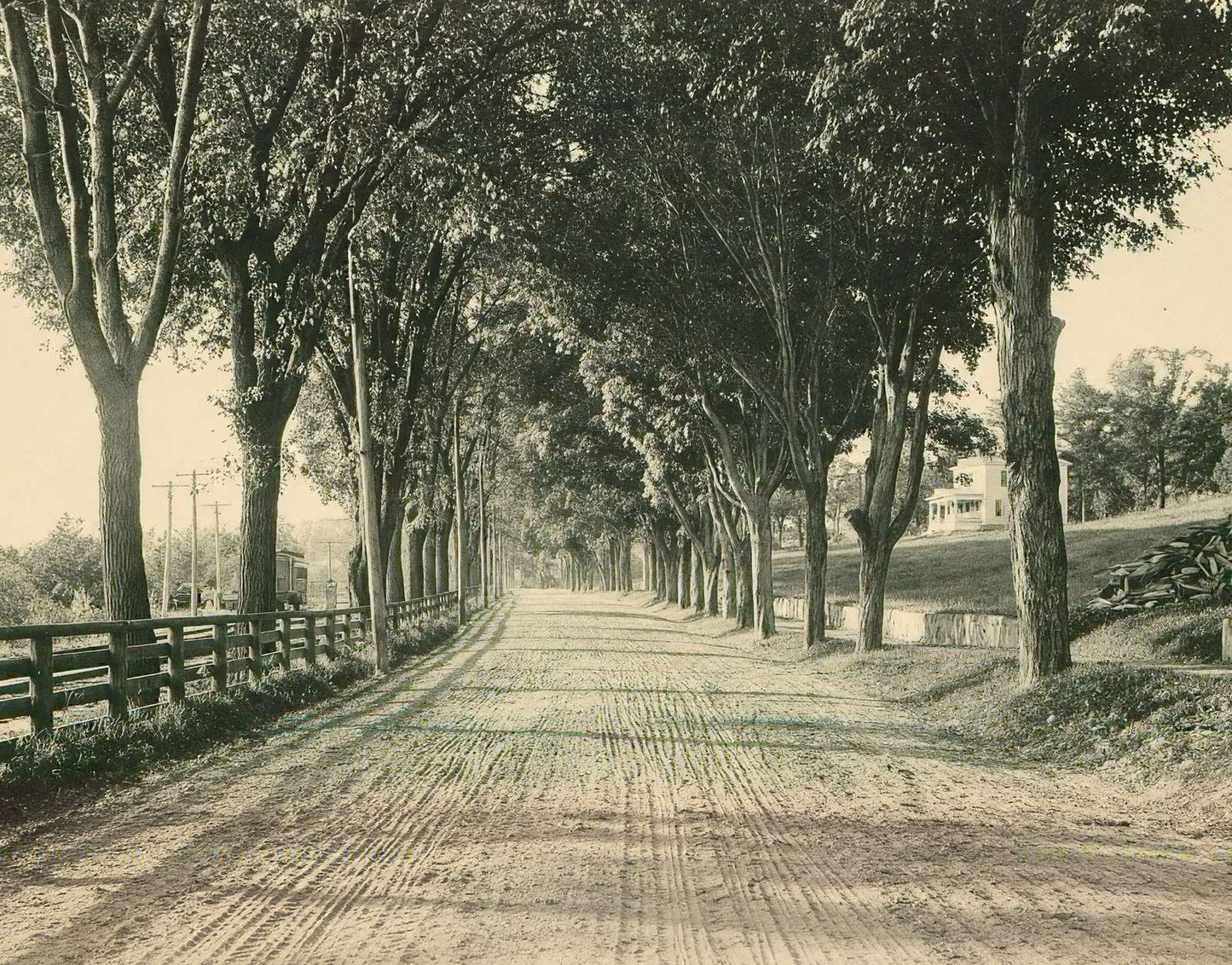 North Main Street Plymouth NH in 1905 Vintage Print (7 Sizes) - High Quality