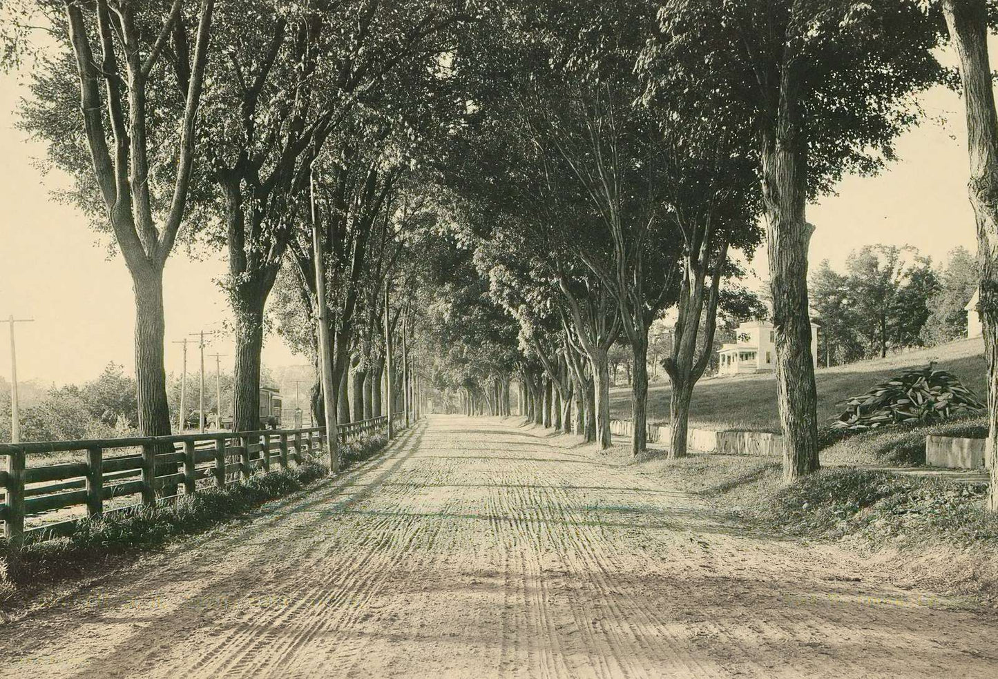 North Main Street Plymouth NH in 1905 Vintage Print (7 Sizes) - High Quality
