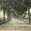 North Main Street Plymouth NH in 1905 Vintage Print (7 Sizes) - High Quality