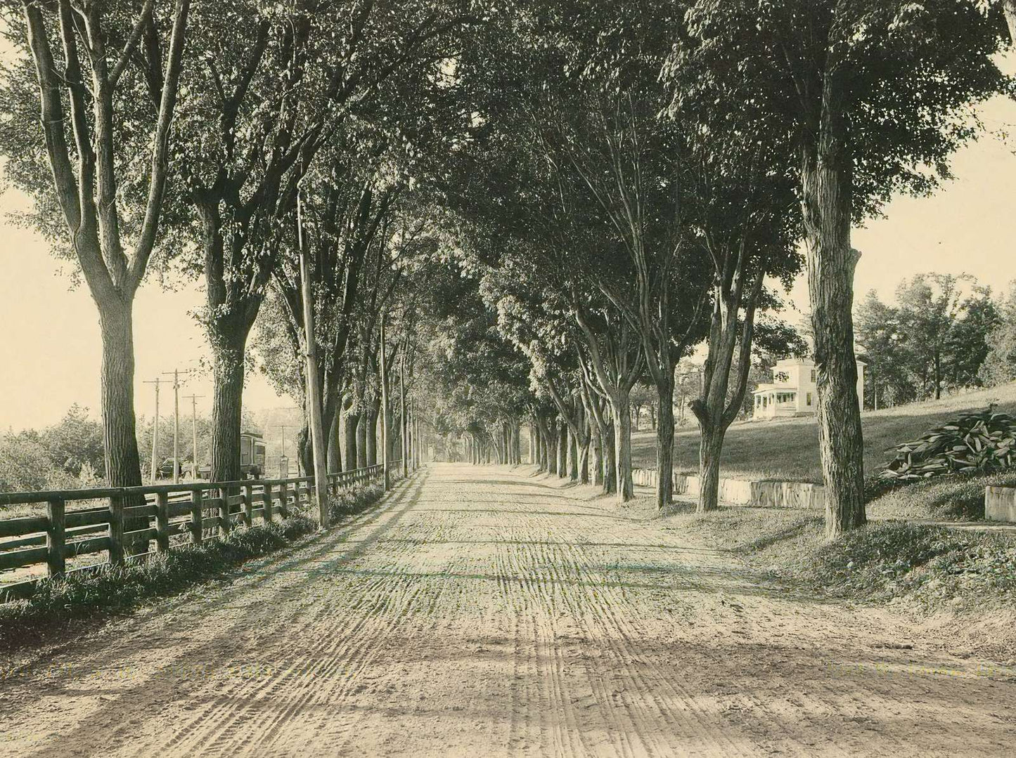 North Main Street Plymouth NH in 1905 Vintage Print (7 Sizes) - High Quality