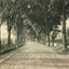 North Main Street in Plymouth in 1905 vintage print