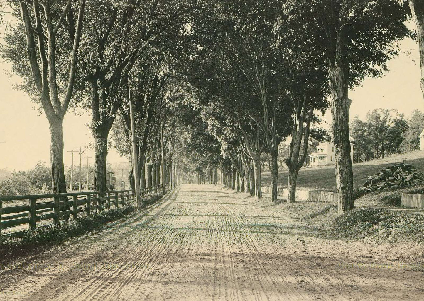 North Main Street Plymouth NH in 1905 Vintage Print (7 Sizes) - High Quality