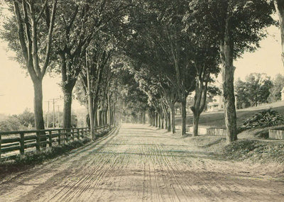 North Main Street Plymouth NH in 1905 Vintage Print (7 Sizes) - High Quality