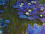 Nympheas en Fleur Painting by Claude Monet Art Print (6 Sizes) - Retouched