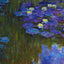Nympheas en Fleur art print by Claude Monet