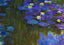 Nympheas en Fleur Painting by Claude Monet Art Print (6 Sizes) - Retouched