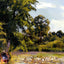 Old Woman with Ducks at Art Print Montfoucault by Camille Pissarro (6 Sizes)