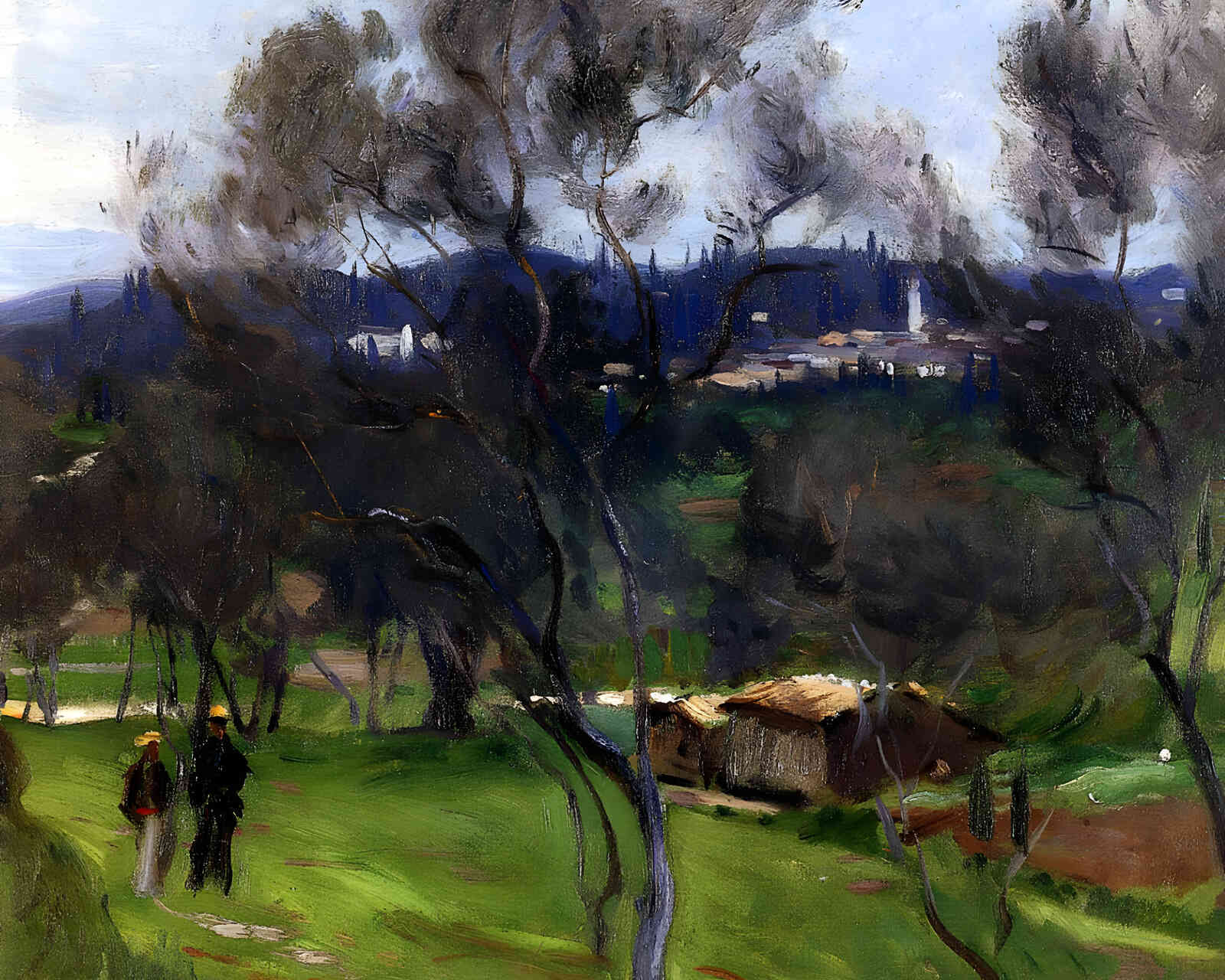 Olive Trees
