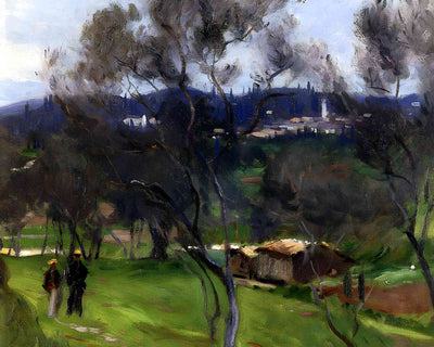 Olive Trees