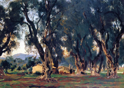 Olive Trees at Corfu 1909 Painting by John Singer Sargent Art Print (6 Sizes)
