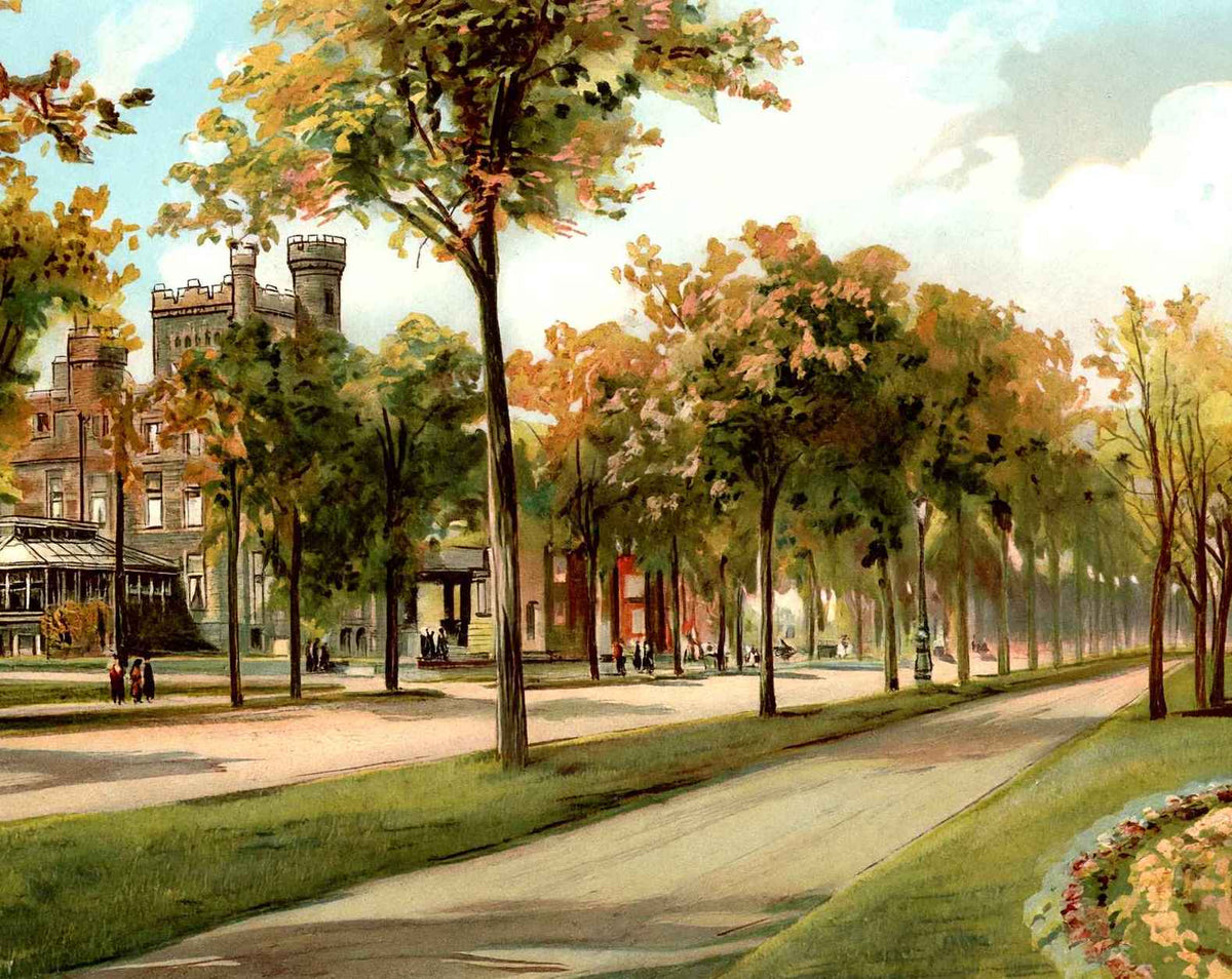 On Lake Shore Drive
