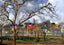 On Orchard in Pontoise in Winter Art Print 1877 by Camille Pissarro (6 Sizes)