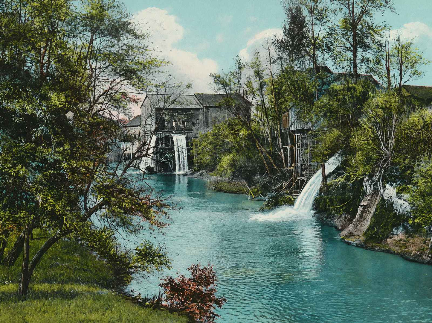 On the Calapooia Albany Oregon in 1908 Vintage Print (7 Sizes) - High Quality