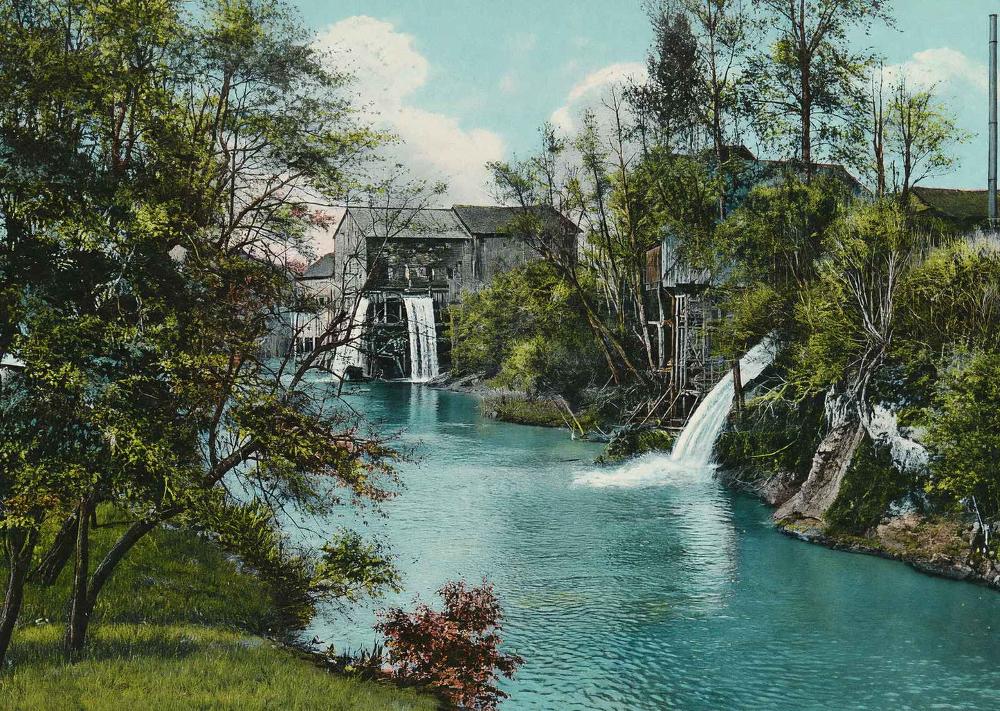 On the Calapooia Albany Oregon in 1908 Vintage Print (7 Sizes) - High Quality