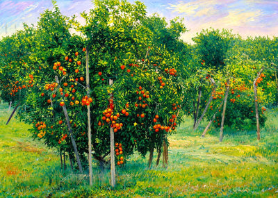 Orange Grove Southern Florida in 1907 Art Print (7 Sizes) - Premium Print