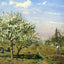 Orchard in Blossom, Louveciennes 1872 by Camille Pissarro Art Print (6 Sizes)