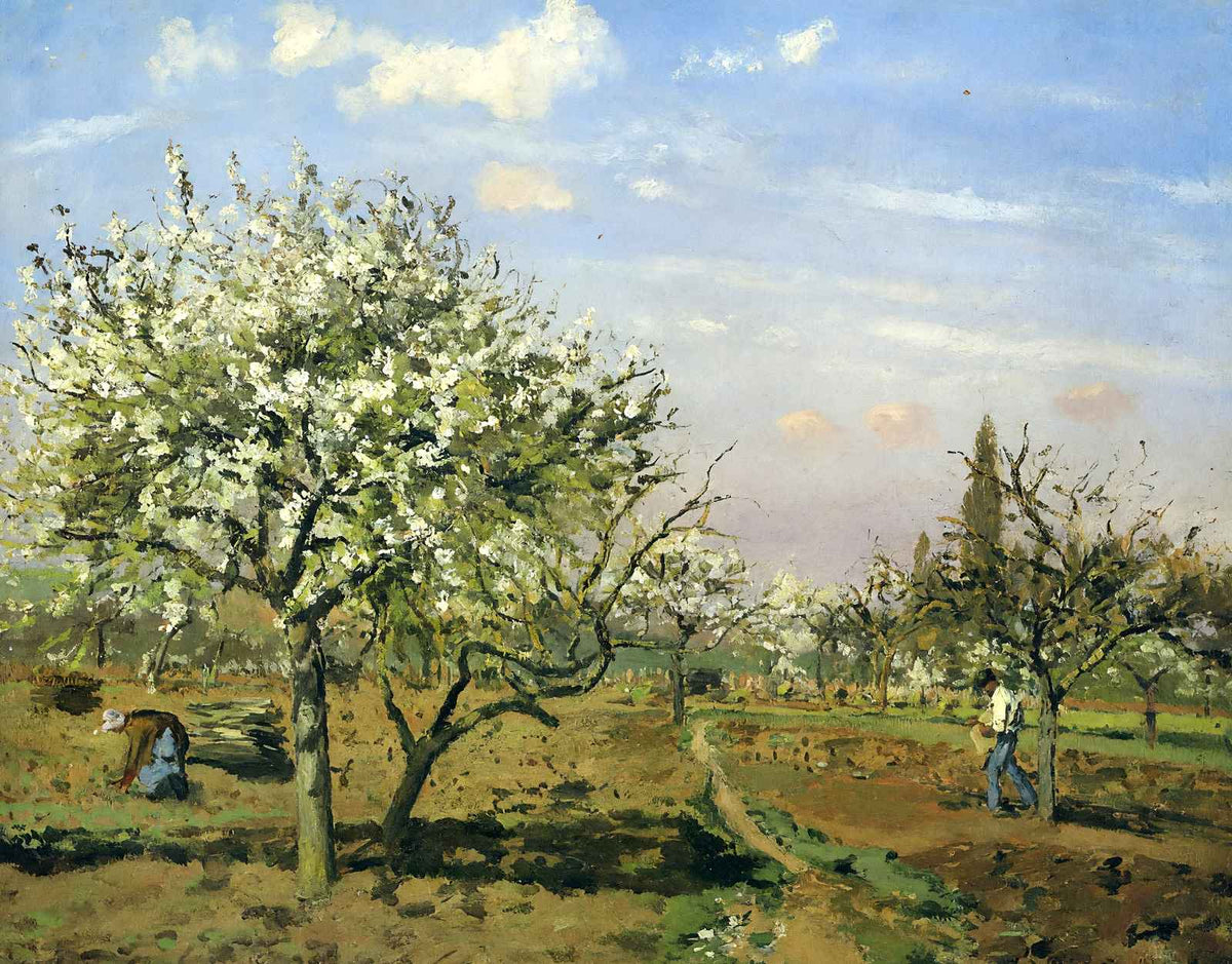 Orchard in Blossom, Louveciennes 1872 by Camille Pissarro Art Print (6 Sizes)