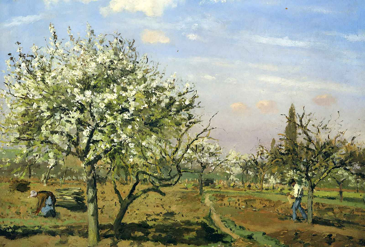 Orchard in Blossom, Louveciennes 1872 by Camille Pissarro Art Print (6 Sizes)