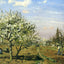 Orchard in Blossom, Louveciennes 1872 by Camille Pissarro Art Print (6 Sizes)