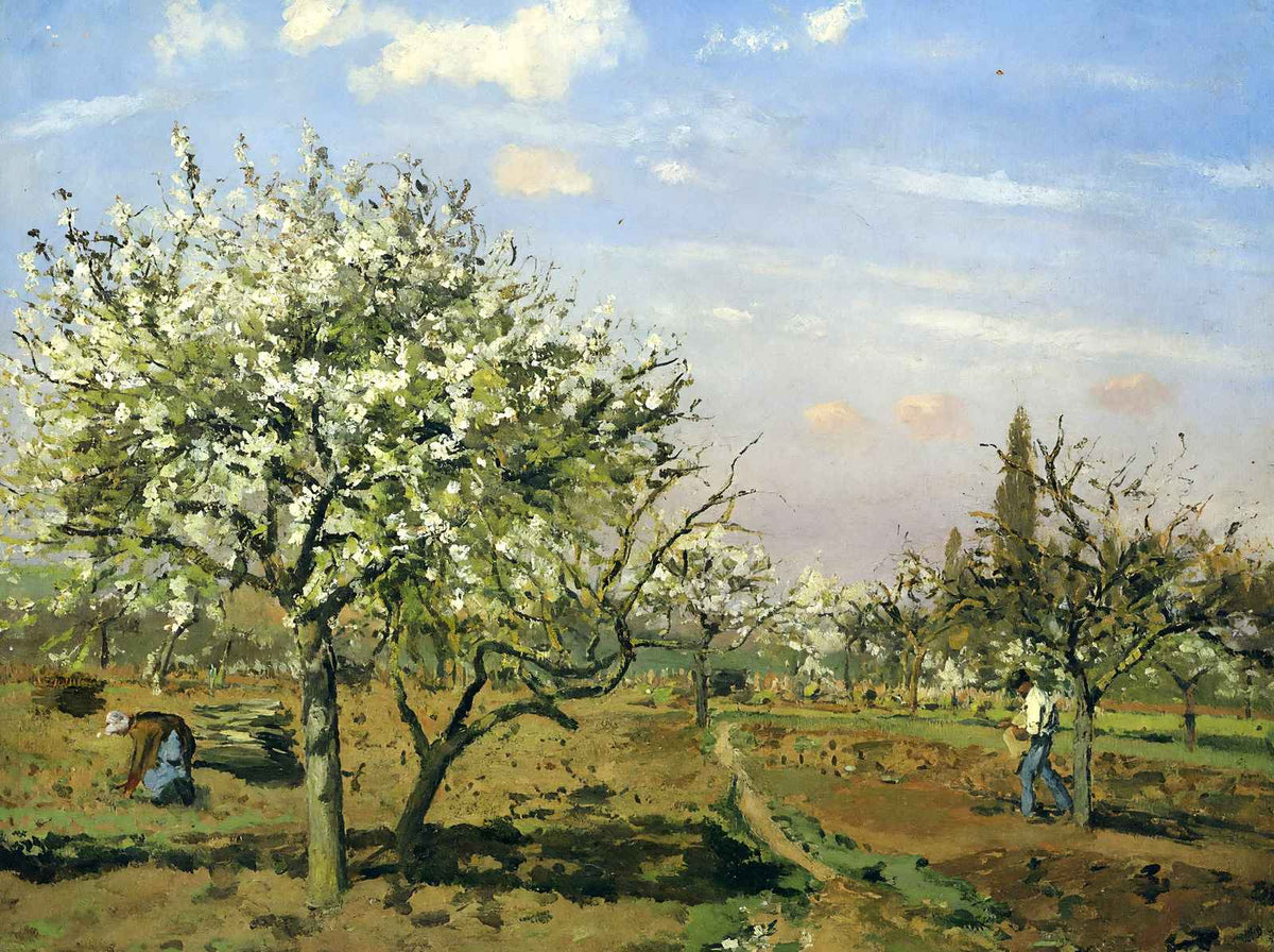 Orchard in Blossom, Louveciennes 1872 by Camille Pissarro Art Print (6 Sizes)