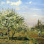 Orchard in Blossom