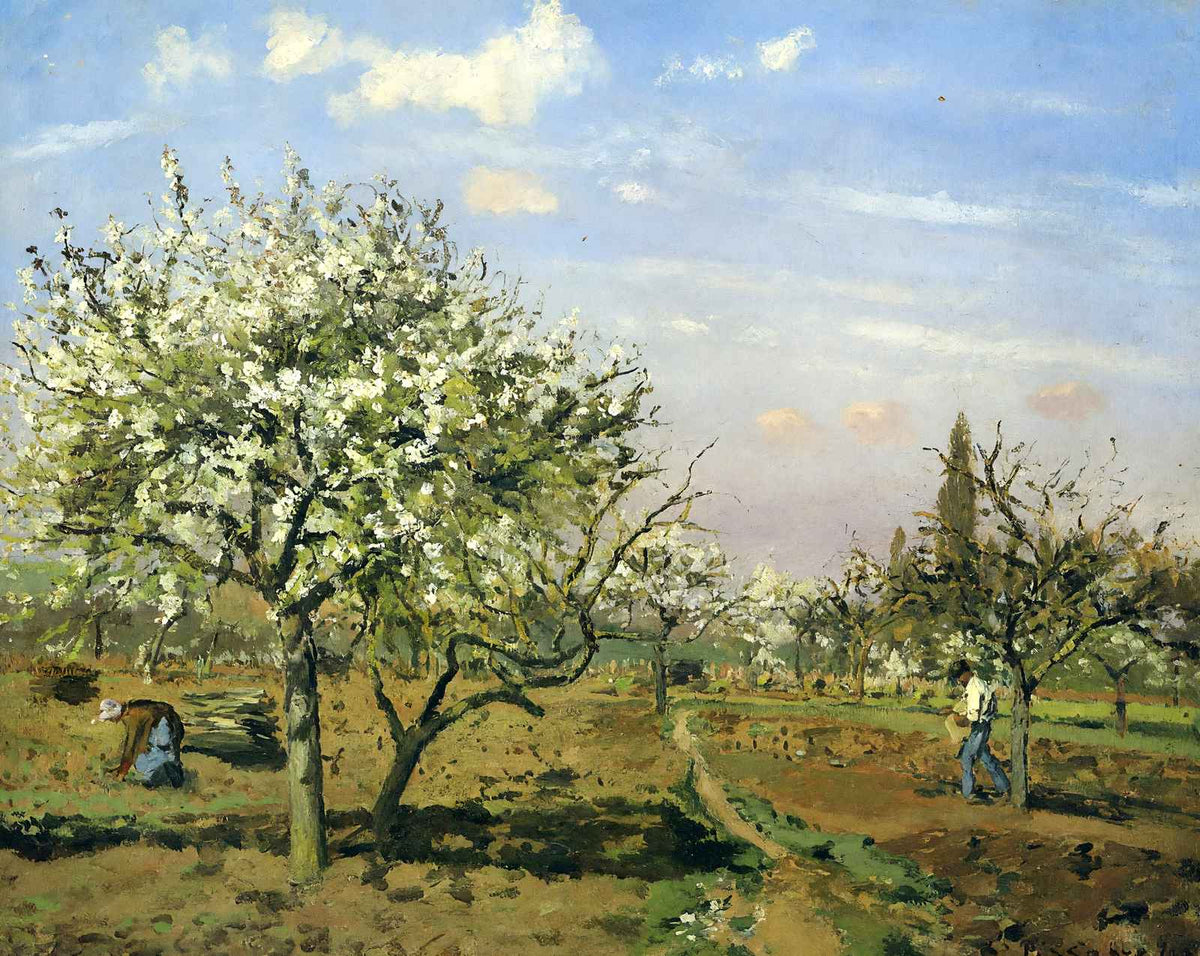 Orchard in Blossom