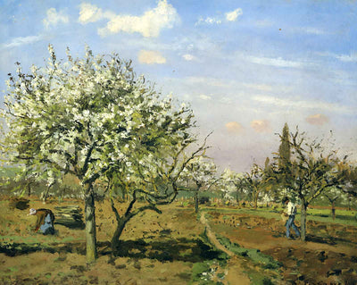 Orchard in Blossom
