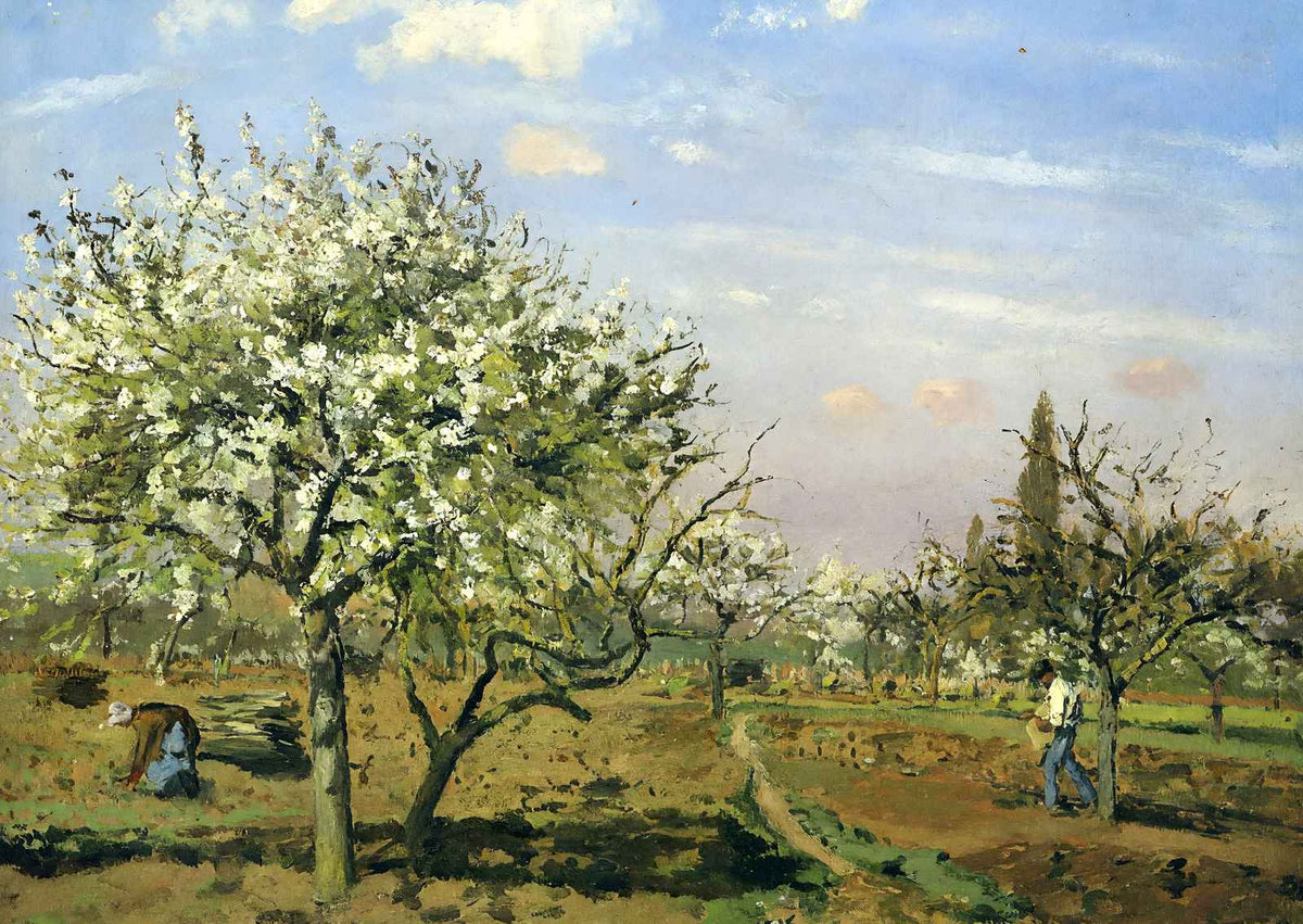 Orchard in Blossom, Louveciennes 1872 by Camille Pissarro Art Print (6 Sizes)