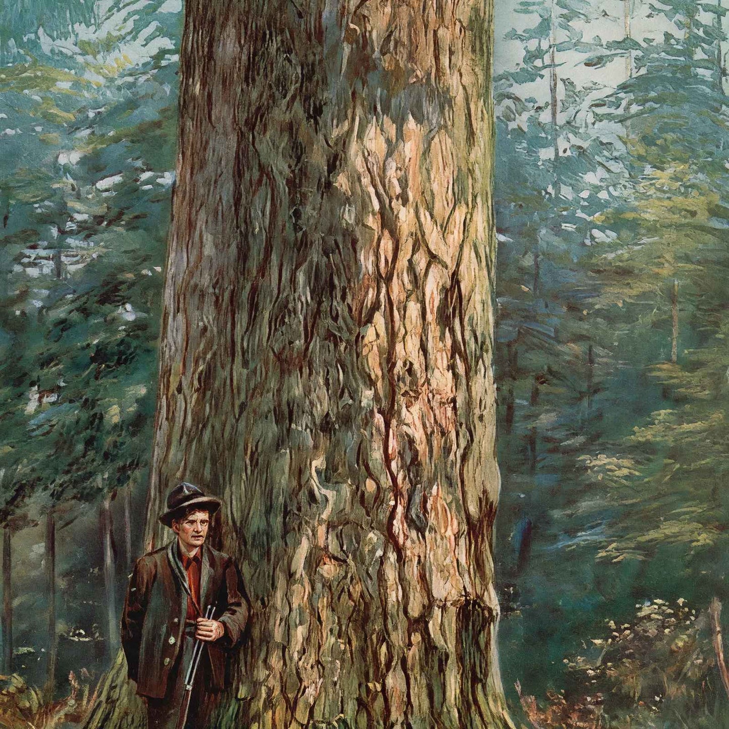 Oregon Sugar Pine in 1908 Vintage Print (7 Sizes) - Reproduction