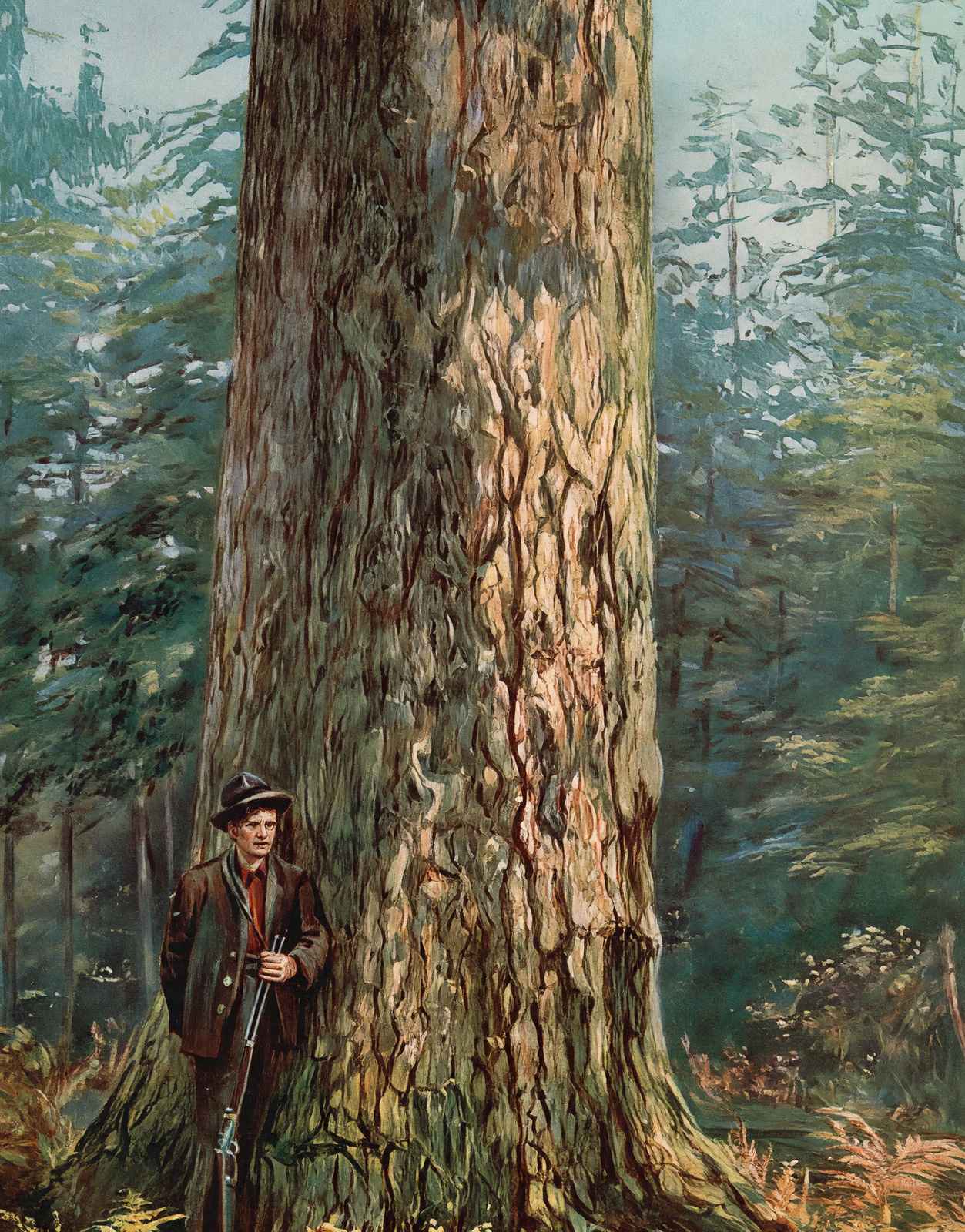Oregon Sugar Pine in 1908 Vintage Print (7 Sizes) - Reproduction