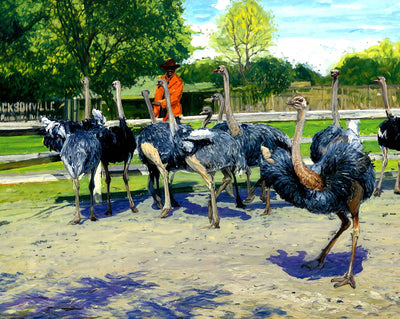 Ostrich Farm in Jacksonville in 1907 art print
