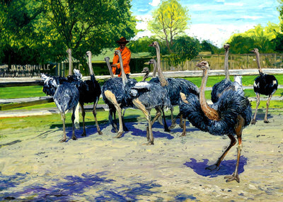 Ostrich Farm Jacksonville FL in 1907 Art Print (7 Sizes) - Enhanced