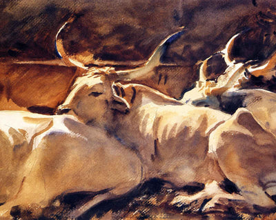 Oxen in Repose fine art print by John Singer Sargent (1910)